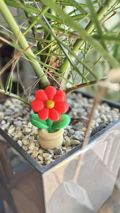 Adorable QQ Little Flower (NO AMS)