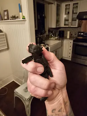 Articulated Happy Axolotl