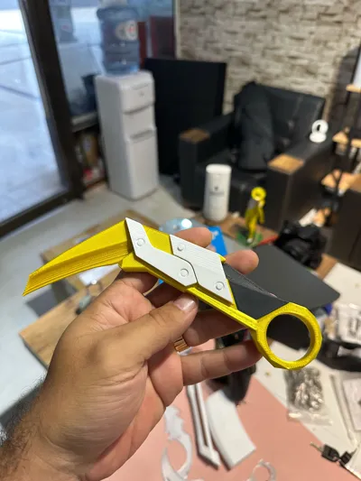 Valorant Prime Karambit