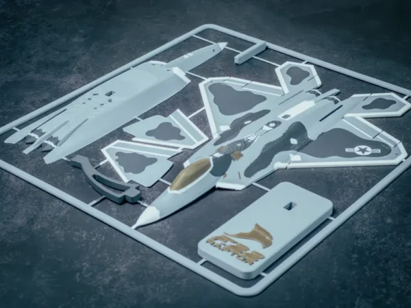 F-22 Raptor Plane Kit Card