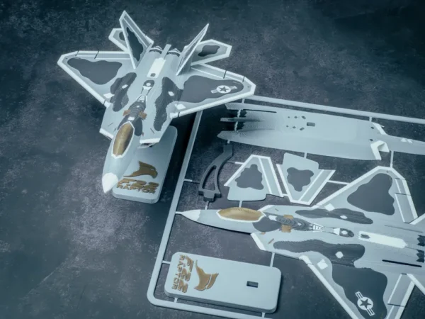 F-22 Raptor Plane Kit Card