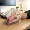 Articulated Skeleton Dragon Figure image 1