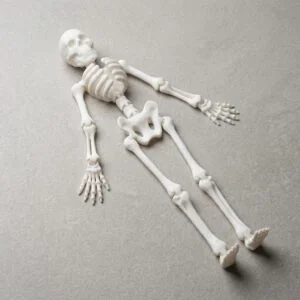 Flexi skeleton