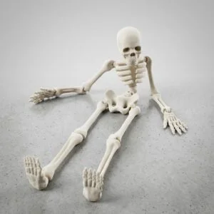 Flexi skeleton