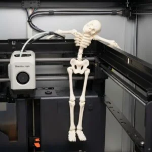 Flexi skeleton