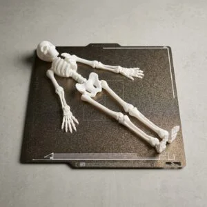 Flexi skeleton