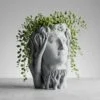 Organic David Planter product image 1