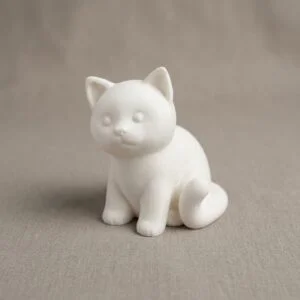 Cute Cat
